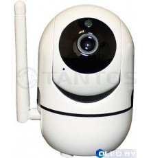 IP-видеокамера Tantos iРотор